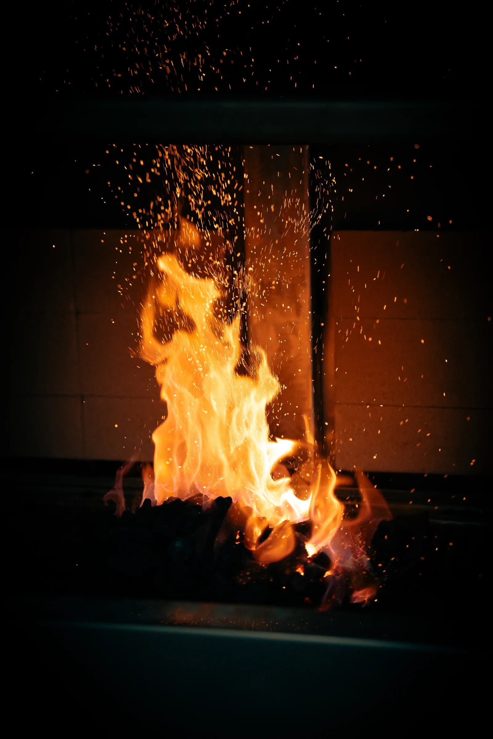 Il fuoco vivo
