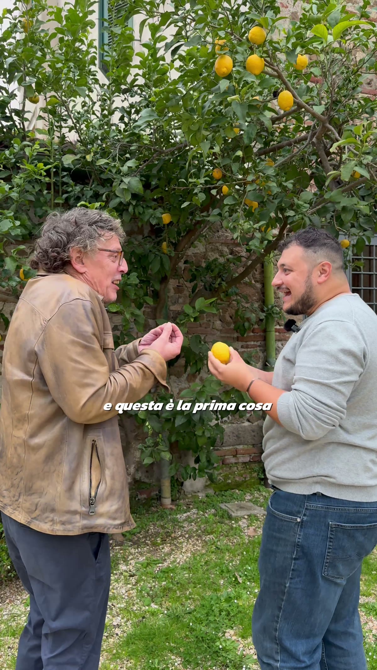 Die Zitrusernte im Garten